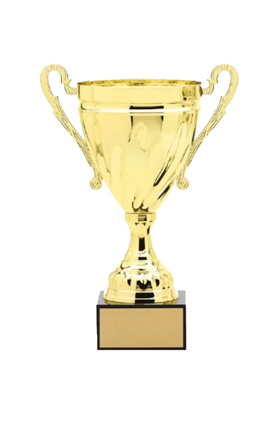 NASP® Gold Metal Cup