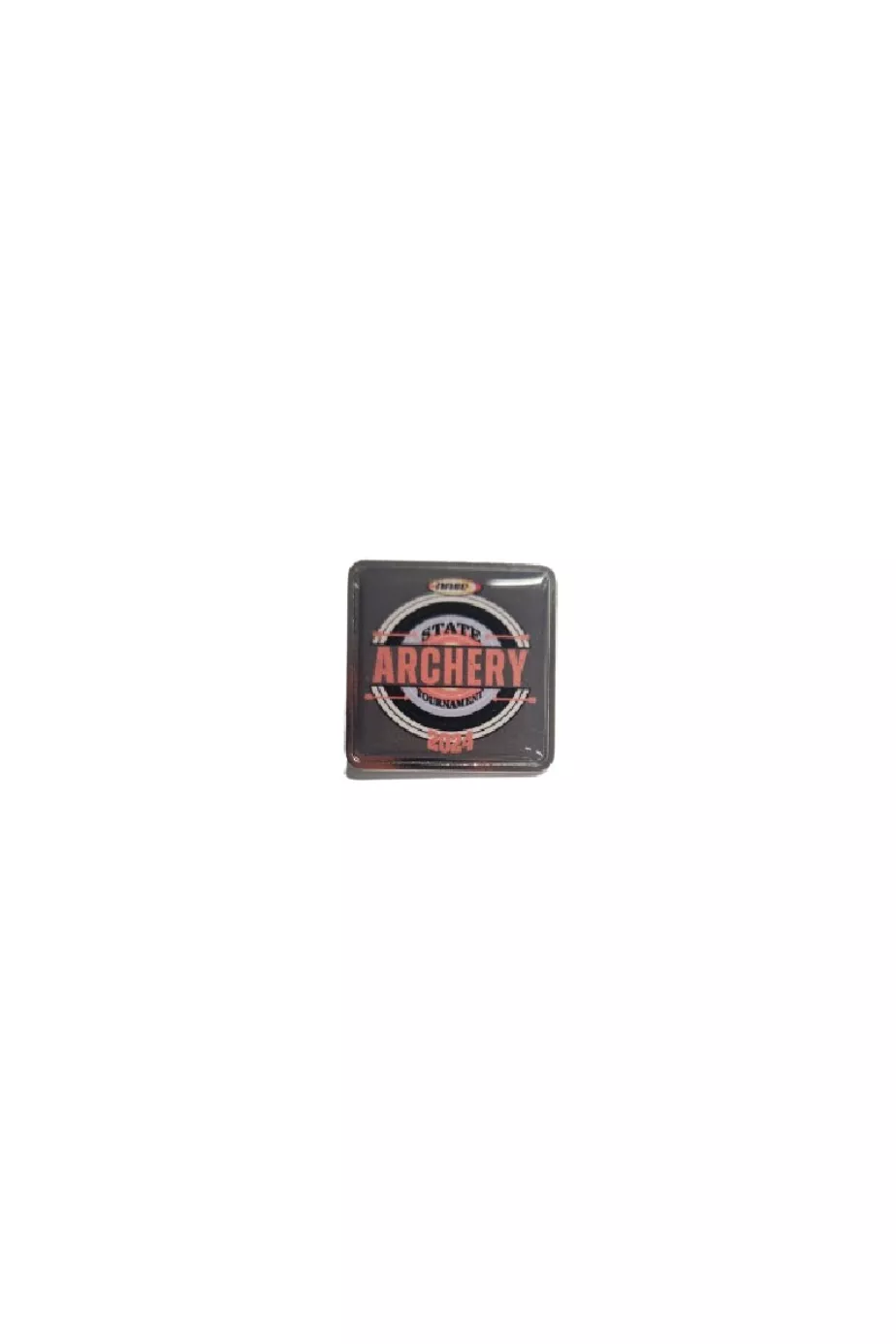 NASP® 2024 State Pin