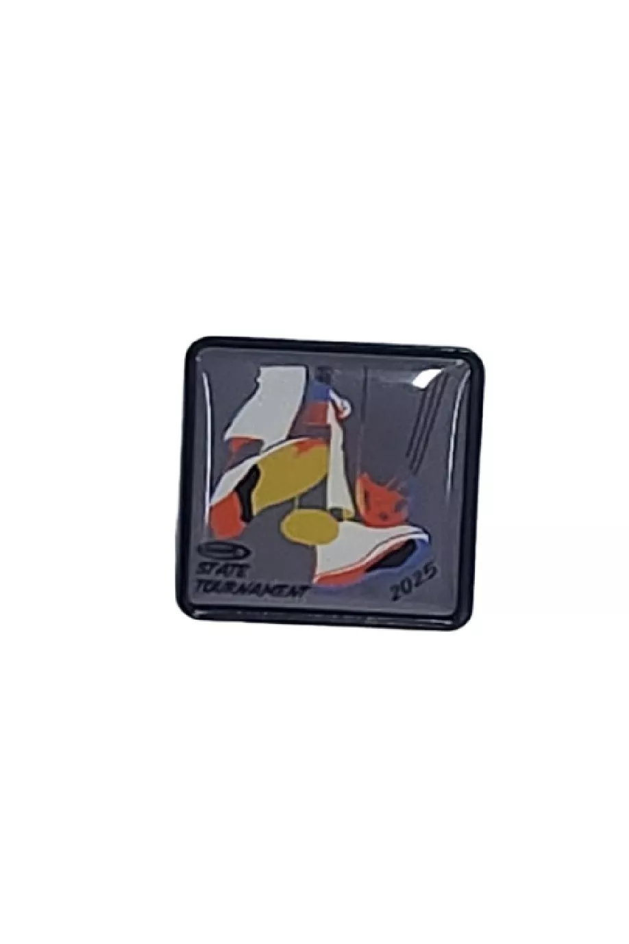 2025 NASP® State Pin