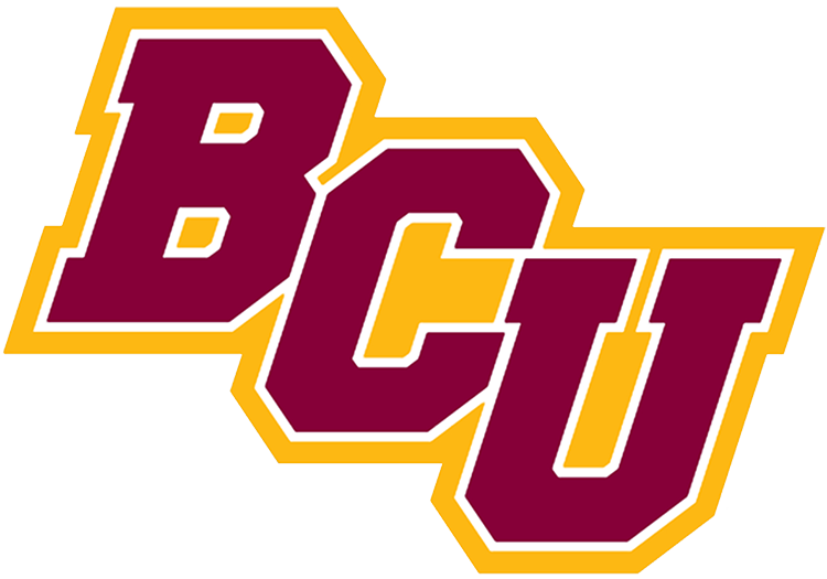 5683_bethune-cookman_wildcats-secondary-2016.4e4b9140c2dacf8eb6ff