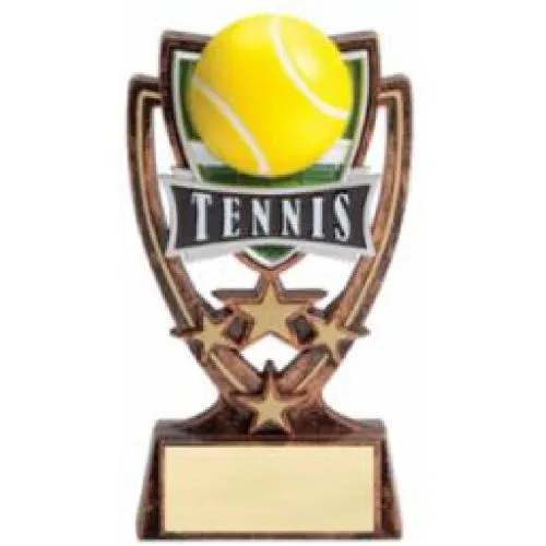 USTA Four Star Tennis Award - STS115