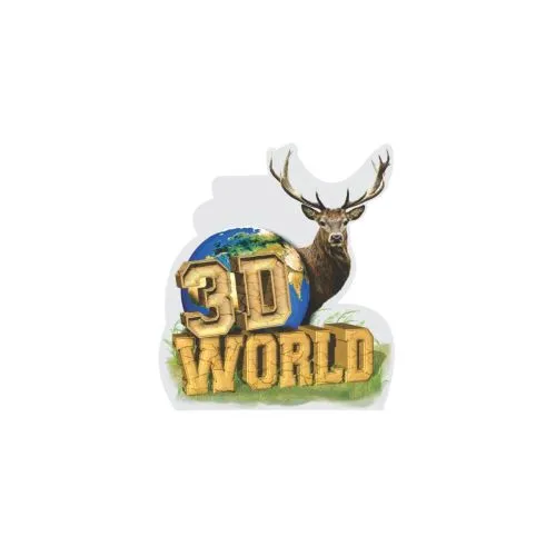 NASP® 3D World Decal
